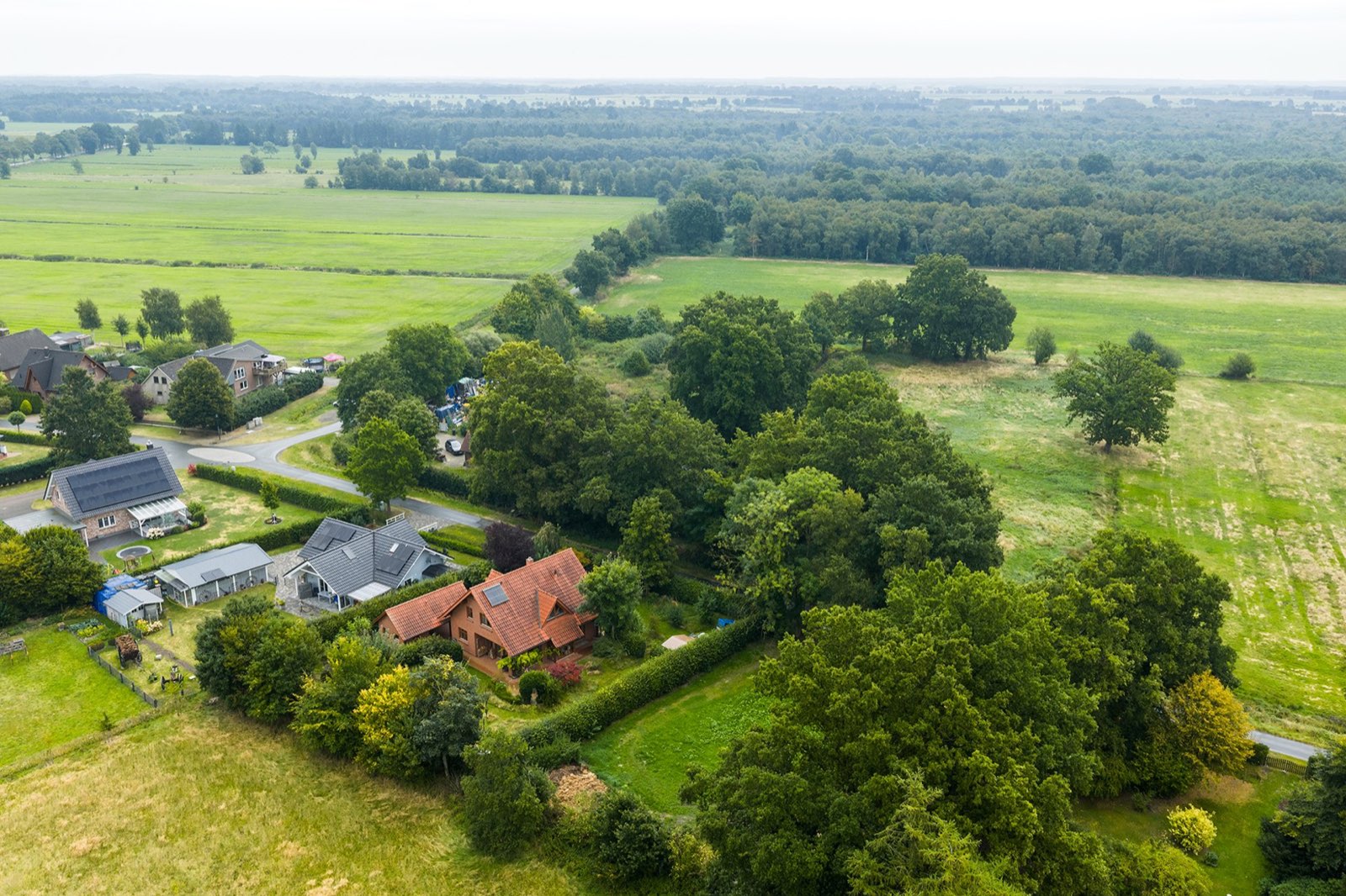 Immobilienmakler nach Region